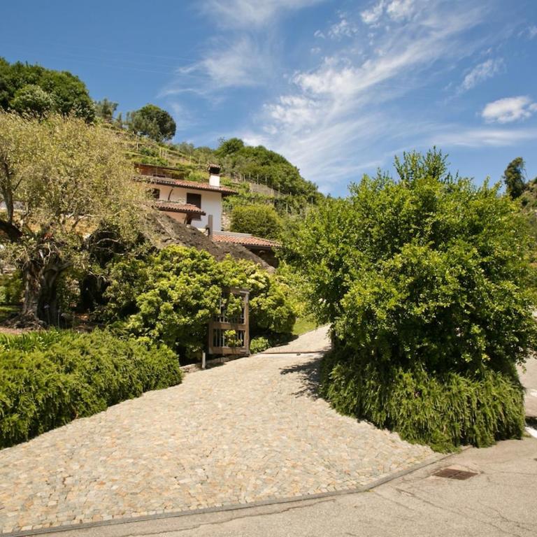 Lake-view terrace - Wines and specialities of Domaso - Appartamento con 1 Camera da Letto - 8