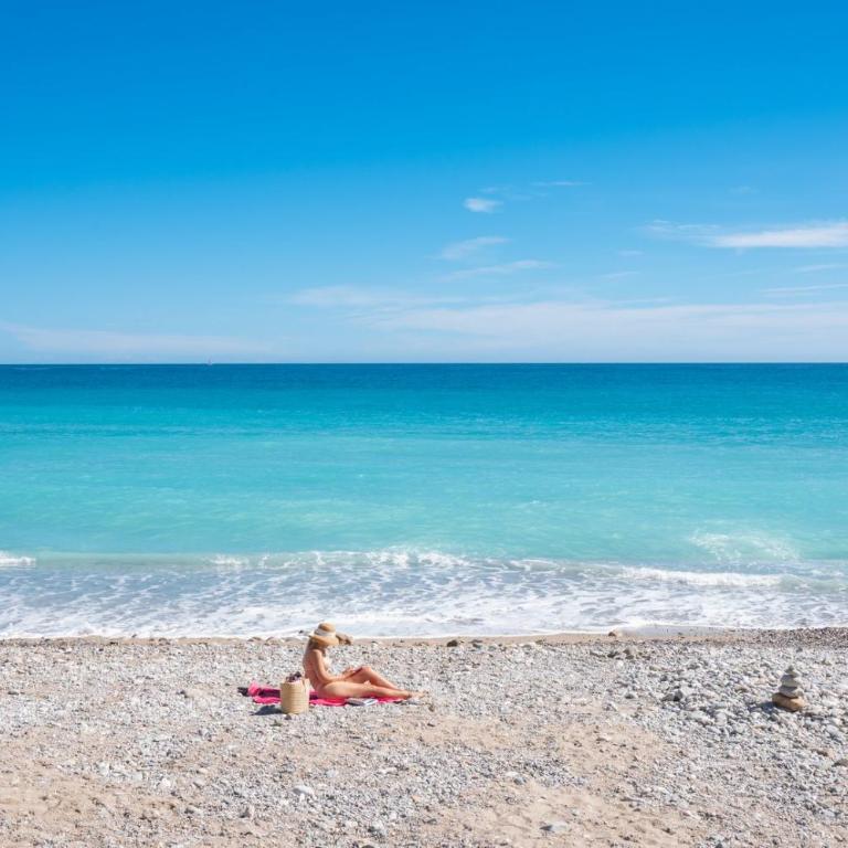 Le COQ Bleu d'Azur- Piscine - Parking - AC -WIFI - Appartement 2 Chambres - 14
