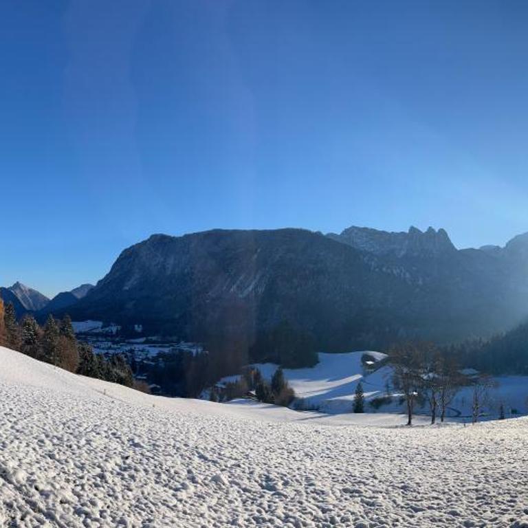 Ferienwohnung Niederbergerhof - Two-Bedroom Apartment with Mountain View - 21