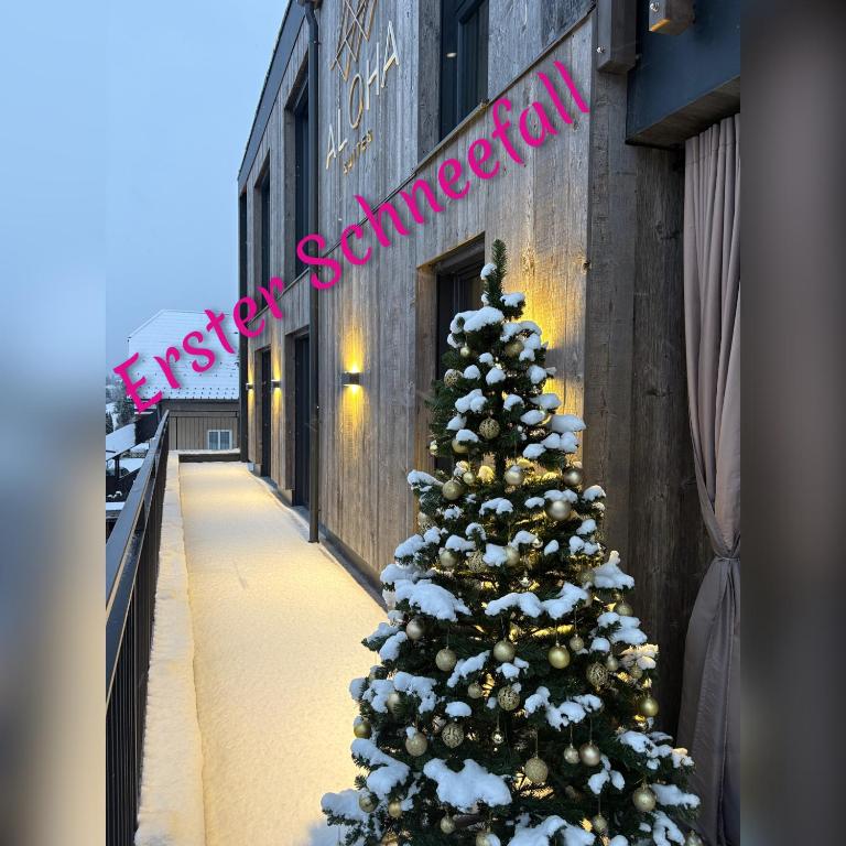 Aloha Suite - Schladming Dachstein - Apartment mit 2 Schlafzimmern und Bergblick - 14
