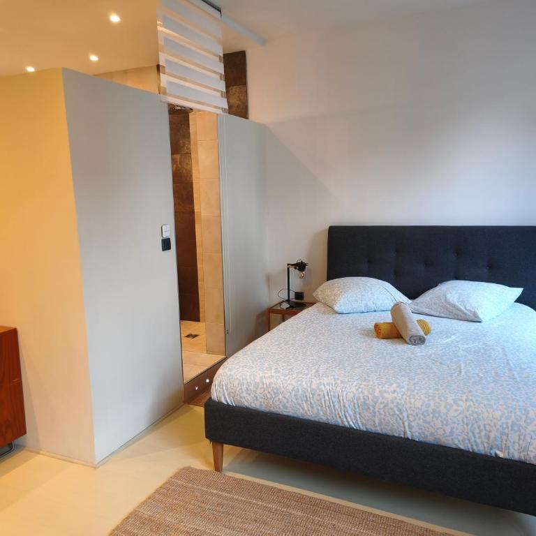 Le Vieux Palais Hypercentre Rouen, Place Vieux Marché - Linge & Ménage Inclus - Apartment mit 1 Schlafzimmer - 9