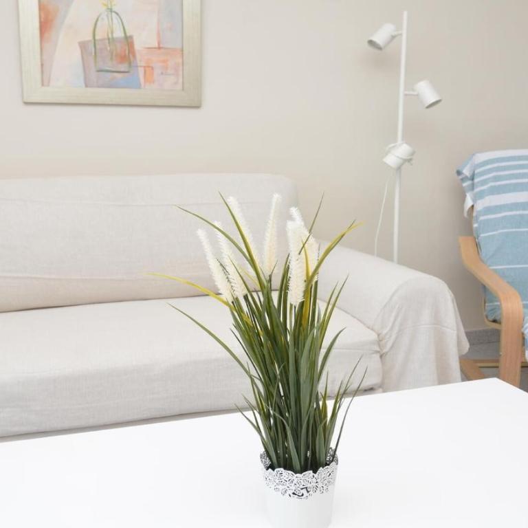 Apt. El Guirre Nº 3 - Apartamento de 1 dormitorio - 17