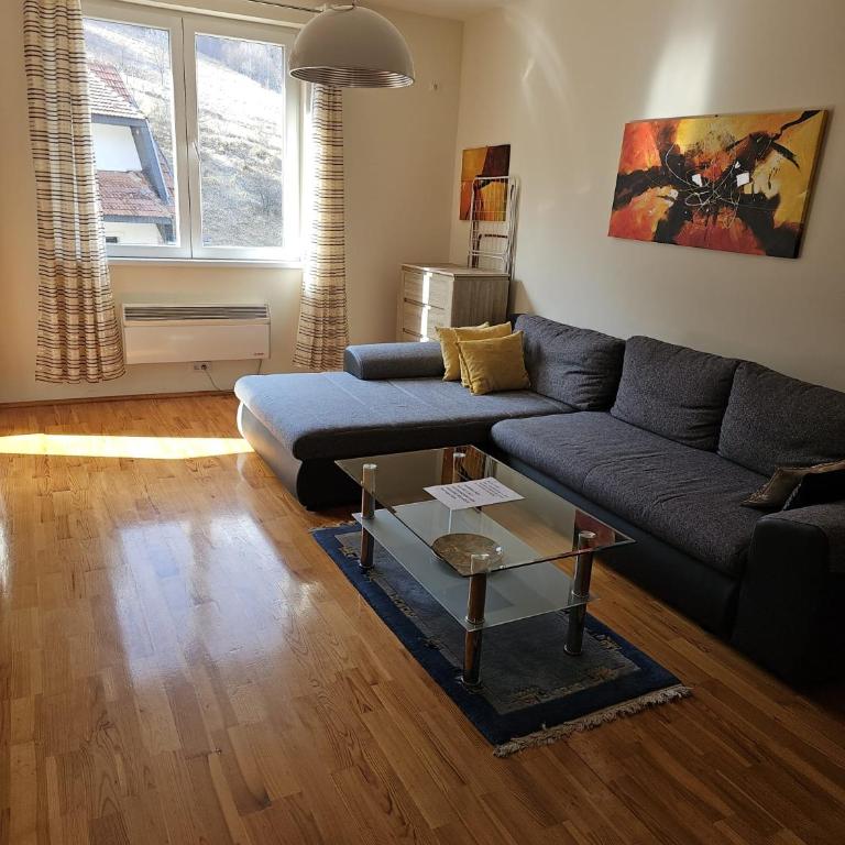 White River Brzece - Kopaonik 50m from Gondola - Free parking - Apartman s 1 Spavaćom Sobom i Terasom - 2