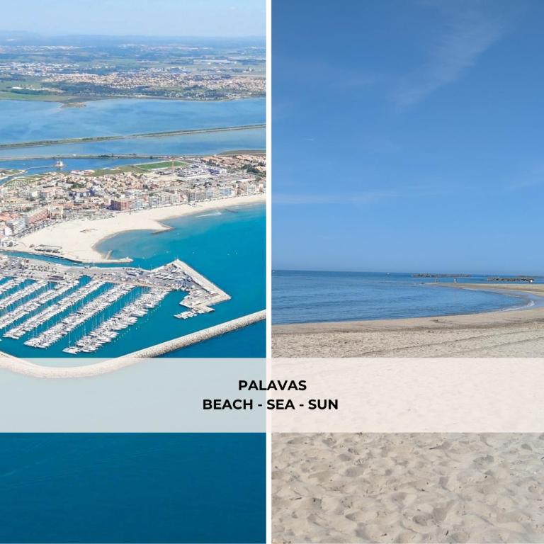 L'Oasis - T2 avec jardin - Piscine - Clim - Parking & Plage à 200m - Appartement 1 Chambre - 4
