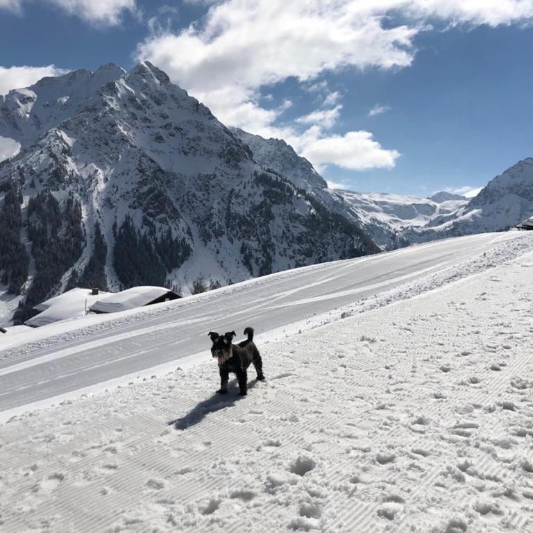 Bergpanorama, Sauna, Balkon, inkl Bergbahn, Alpenjuwel Oberstdorf - Apartment mit 2 Schlafzimmern - 27