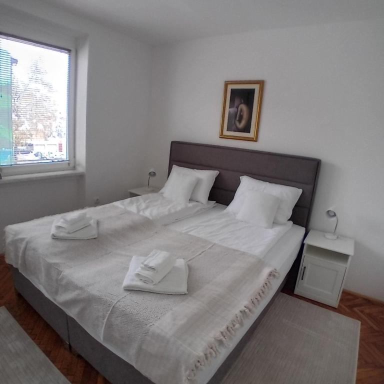 Apartman BRKO - Two-Bedroom Apartment - 4