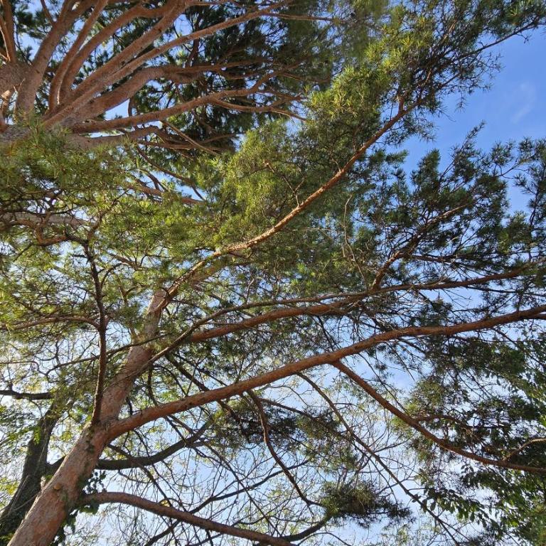 Le MazeL, meublé de tourisme 2 à 4 personnes - Haus mit 1 Schlafzimmer - 28