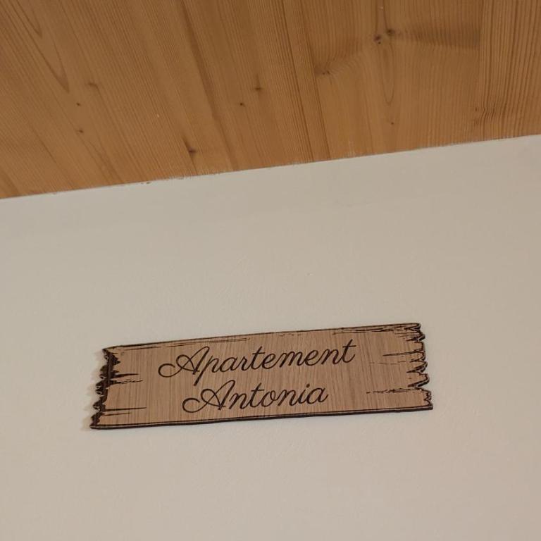Apartment Antonia - Ferienglück Allgäu - Apartment - 8