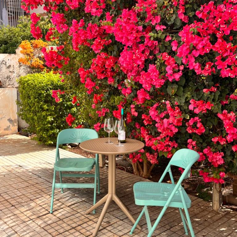 Buganvilla Garden Puerto de la Cruz - Apartamento de 1 dormitorio - 20