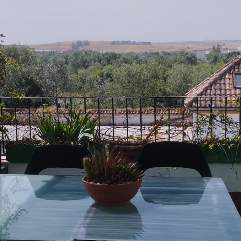 Mirador de Badanas - Apartamento de 1 dormitorio - 36
