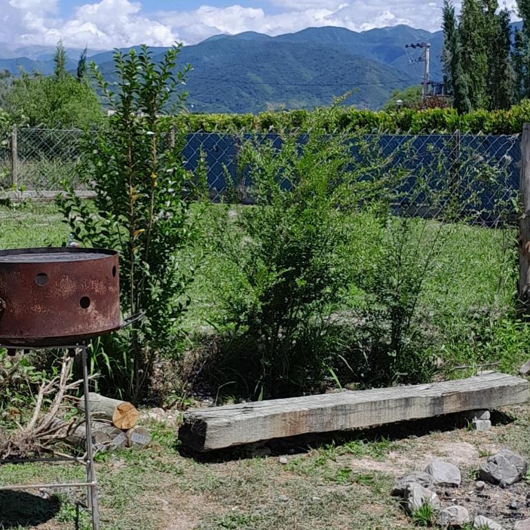 Cantal Tiny house - Chalet de 1 dormitorio - 3