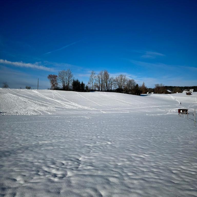 FeWo Bergveilchen 631 im Ferienpark Oberallgäu - Apartment mit 2 Schlafzimmern - 25