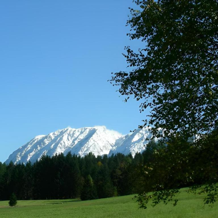 Haus Zink - Apartment mit Blick auf die Berge - 5