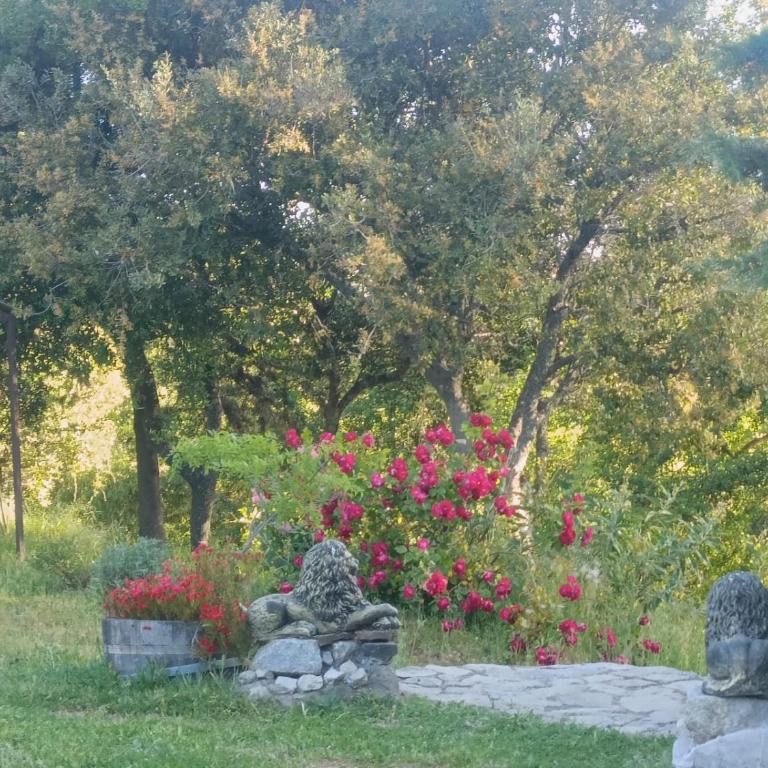 Centro Turístico Mayu Wasi - Casa con 1 dormitorio - 10