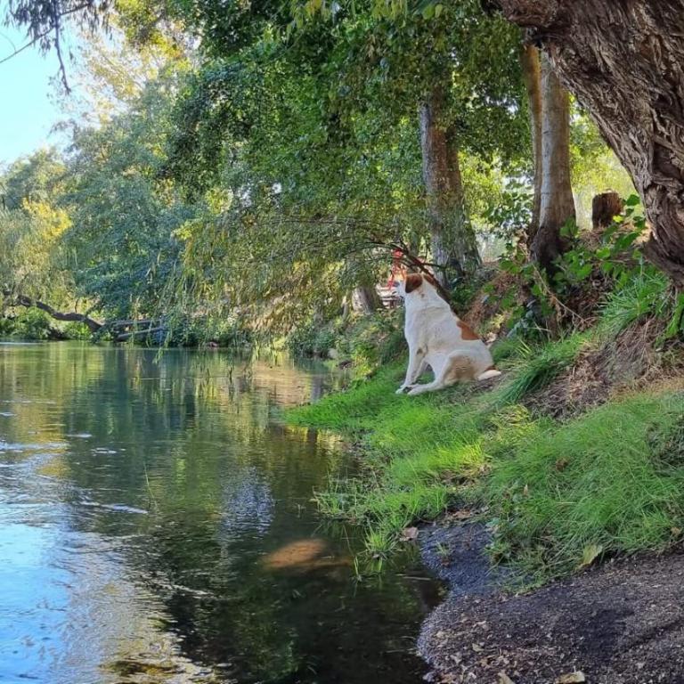 Centro Turístico Mayu Wasi - Casa con 1 dormitorio - 15