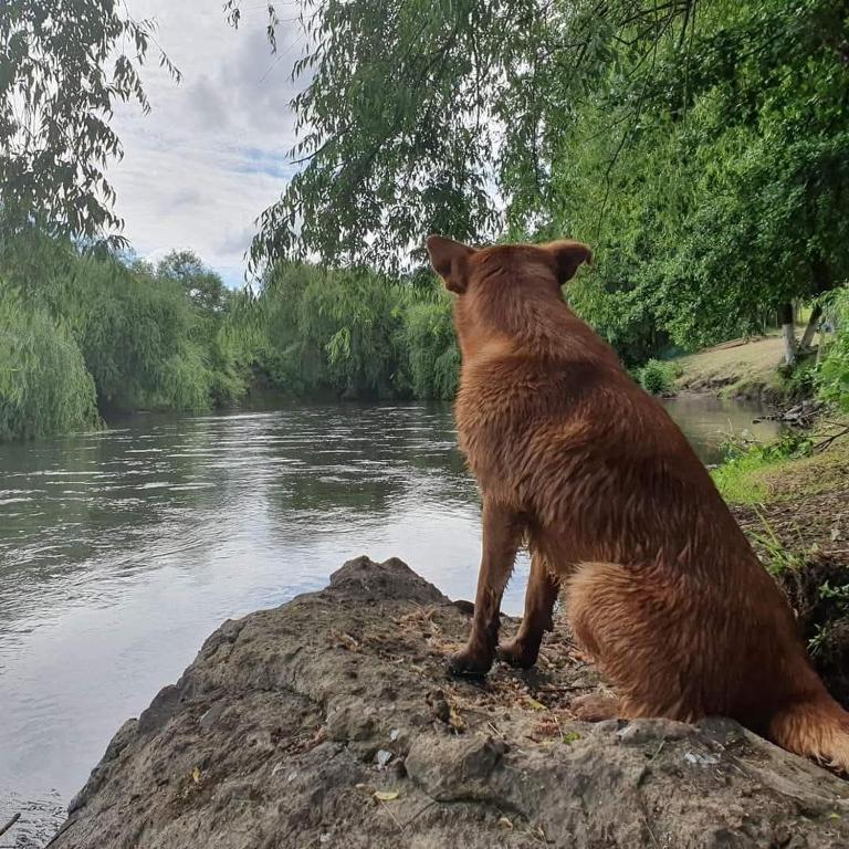 Centro Turístico Mayu Wasi - Casa con 1 dormitorio - 22