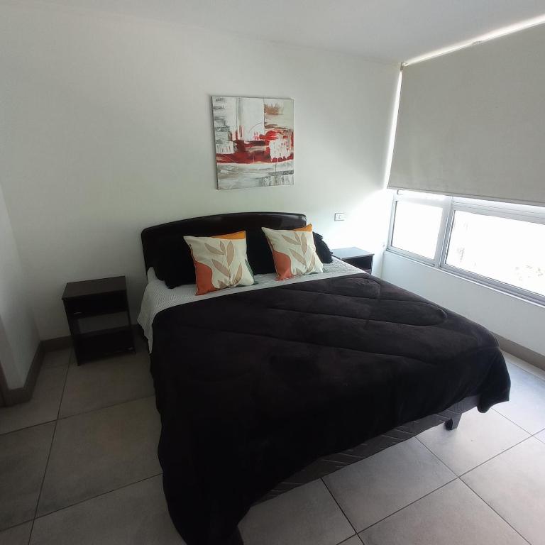 SantiagoCentral - One-Bedroom Apartment - 18