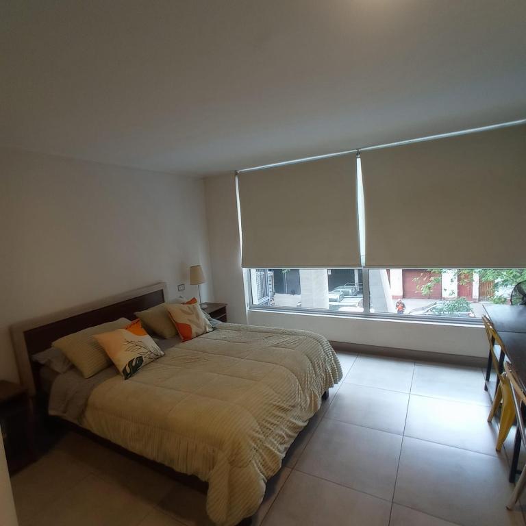 SantiagoCentral - One-Bedroom Apartment - 17