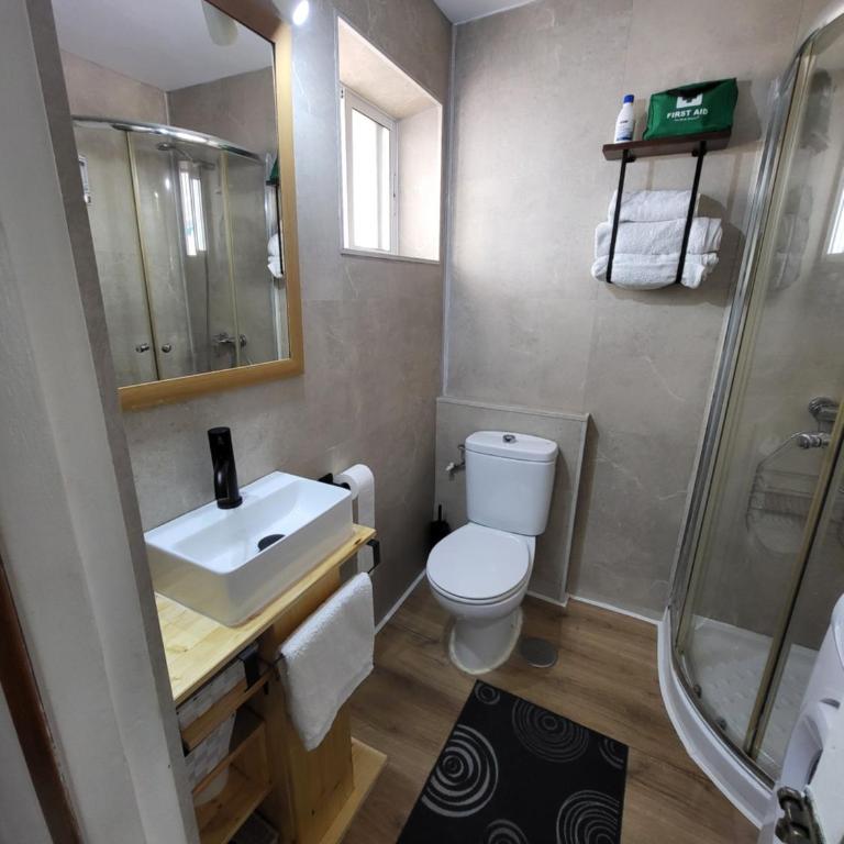 Apartamento delfin verde - Apartamento - 17