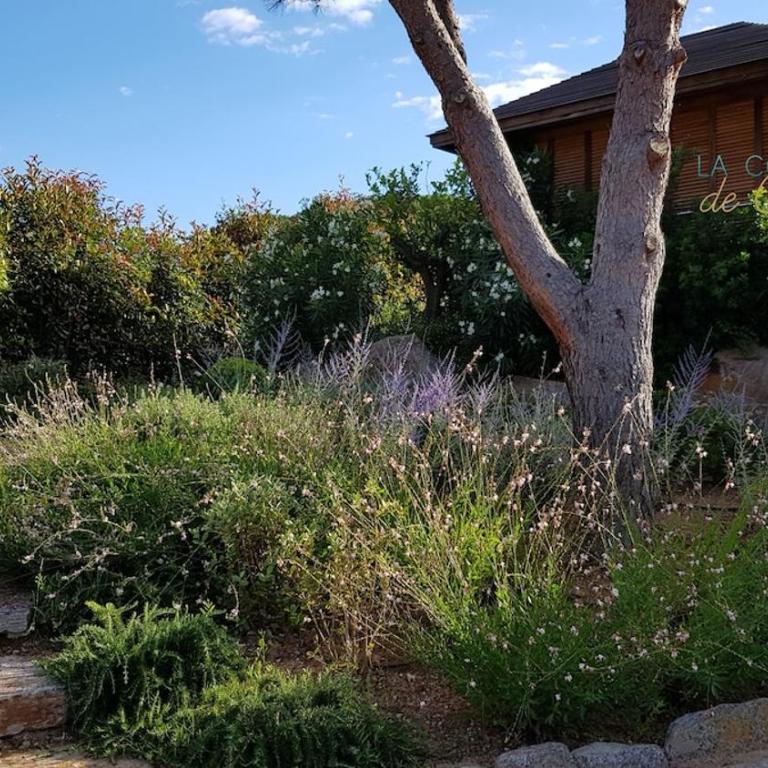 Villa Du Pin 4 with swimming pool and landscaped garden - Villa - 43