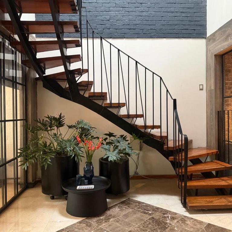 La Chula, Stylish Home in Condesa and Rooftop Bar - Apartamento - 6