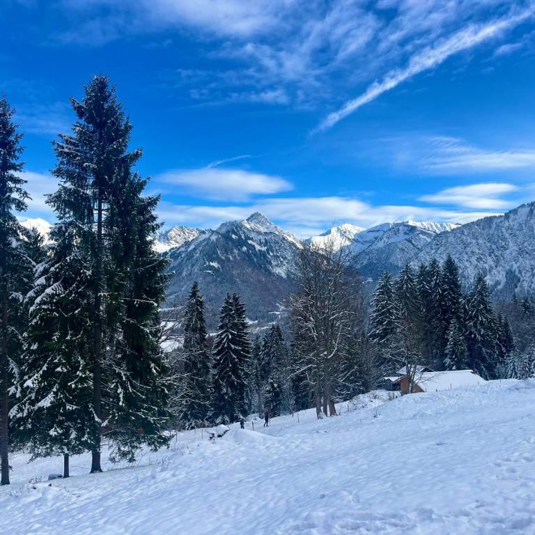 FeWo Alpenherz im Allgäu, mit Balkon und Bergblick - Apartment mit 1 Schlafzimmer - 9