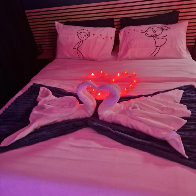 Suite romantique & Jacuzzi privatif Centre d'Arles, Climatisée - Appartement 1 Chambre - 20