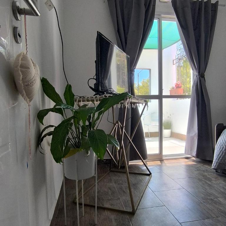 Exelente Ubicación! Apartamento Piscis complejo - One-Bedroom Apartment - 20