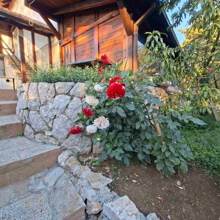 Zlatiborski kutak - Apartment - 6