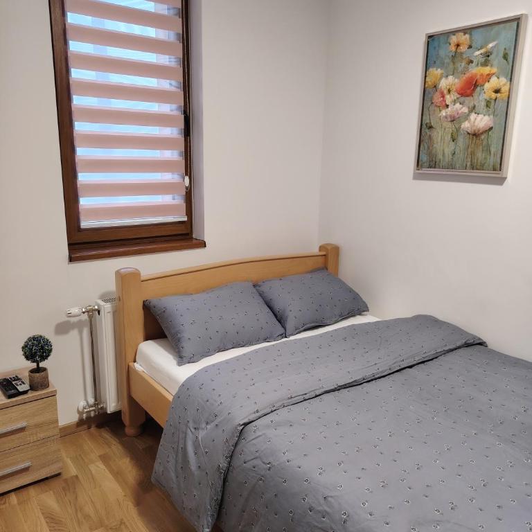 Stela Divcinova - Apartman sa 1 Spavaćom Sobom - 8