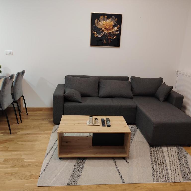 Stela Divcinova - Apartman sa 1 Spavaćom Sobom - 2
