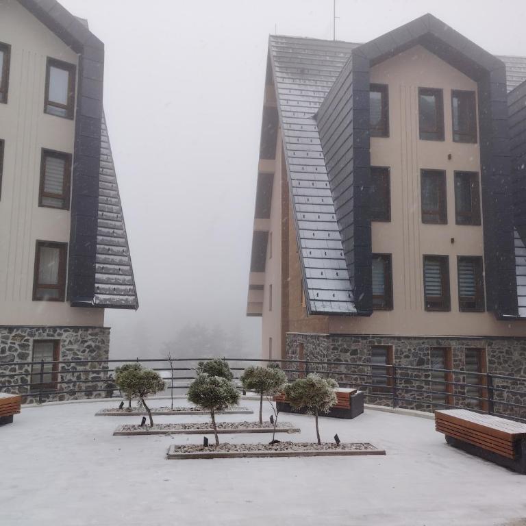 Stela Divcinova - Apartman sa 1 Spavaćom Sobom - 21
