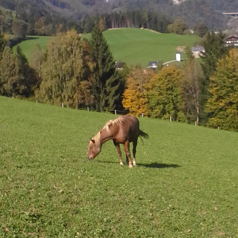 Unterschwabegghof - Apartment mit Blick auf die Berge - 24
