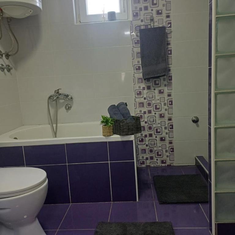 Family Apartman Telep Novi Sad - Yard & Free parking - Apartman sa 3 Spavaće Sobe i Balkonom - 12