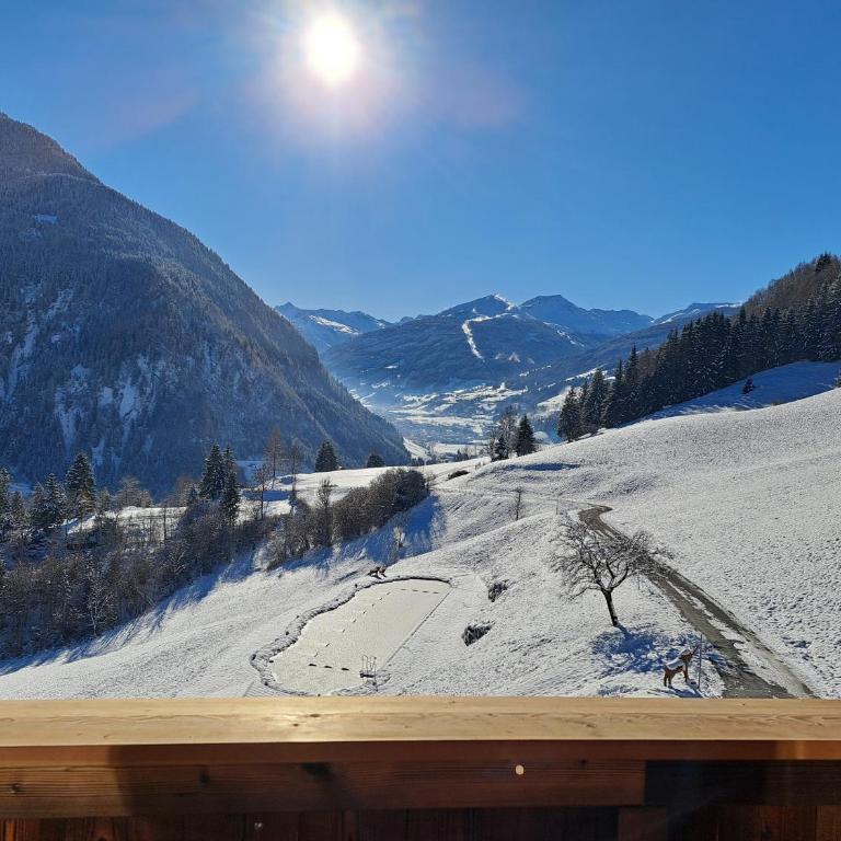 Das Grabnergut - Sommerkarte der Gasteiner Bergbahnen inklusive - Penthouse-Apartment - 22
