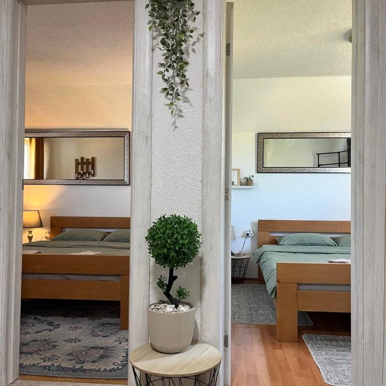 Apartments Baron Žabljak - Kuća sa 4 Spavaće Sobe - 4