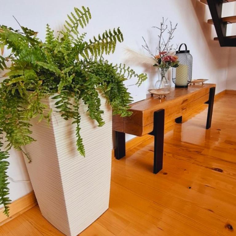Planinska kuća Lastino gnezdo - Mitrovac na Tari - Kuća sa 2 Spavaće Sobe - 15