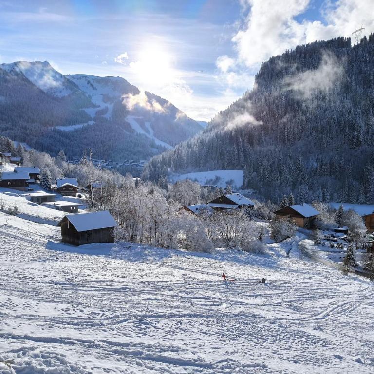 La petite Chaumière des Neiges - Appartement 2 Chambres - 7