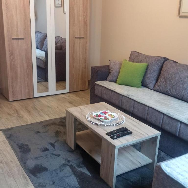 Apartman Maksimović Divčibare - Apartman s 1 Spavaćom Sobom i Terasom - 38