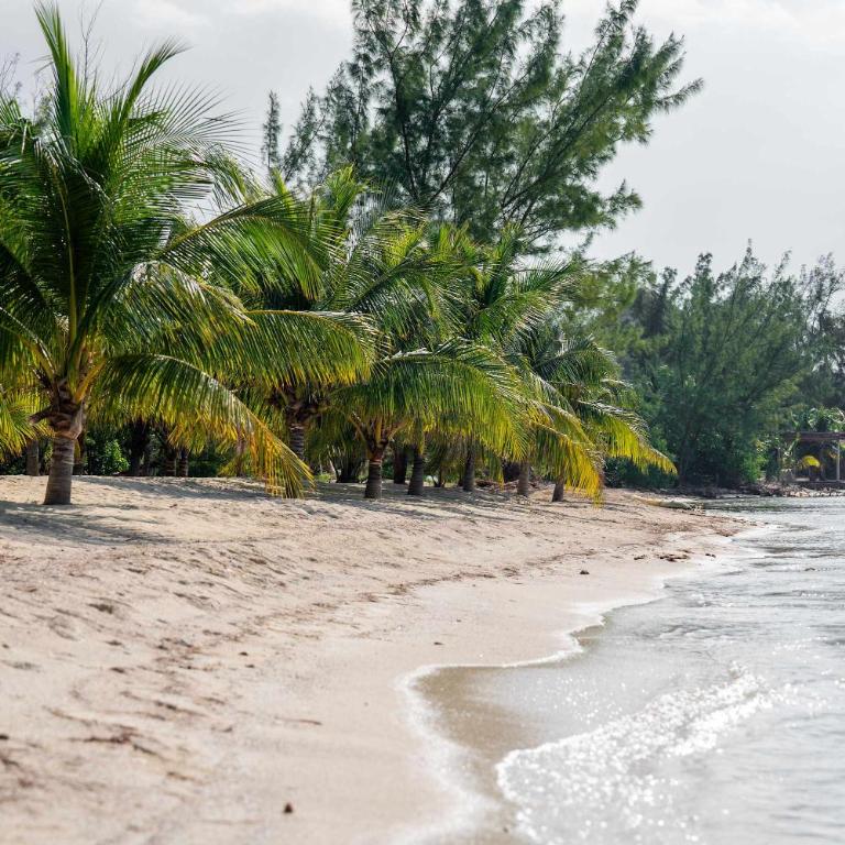 Premium Beachfront - 3BR - Heated Infinity Pool - Apartment - 42