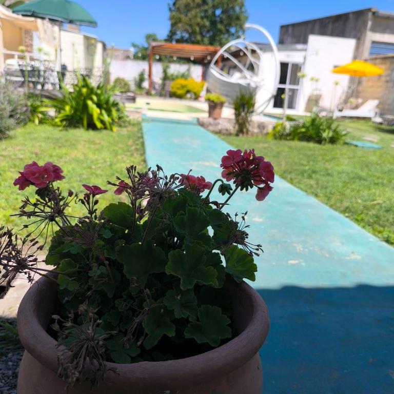 Oasis urbano! Apartamento Geminis complejo - Apartamento de 1 dormitorio - 35