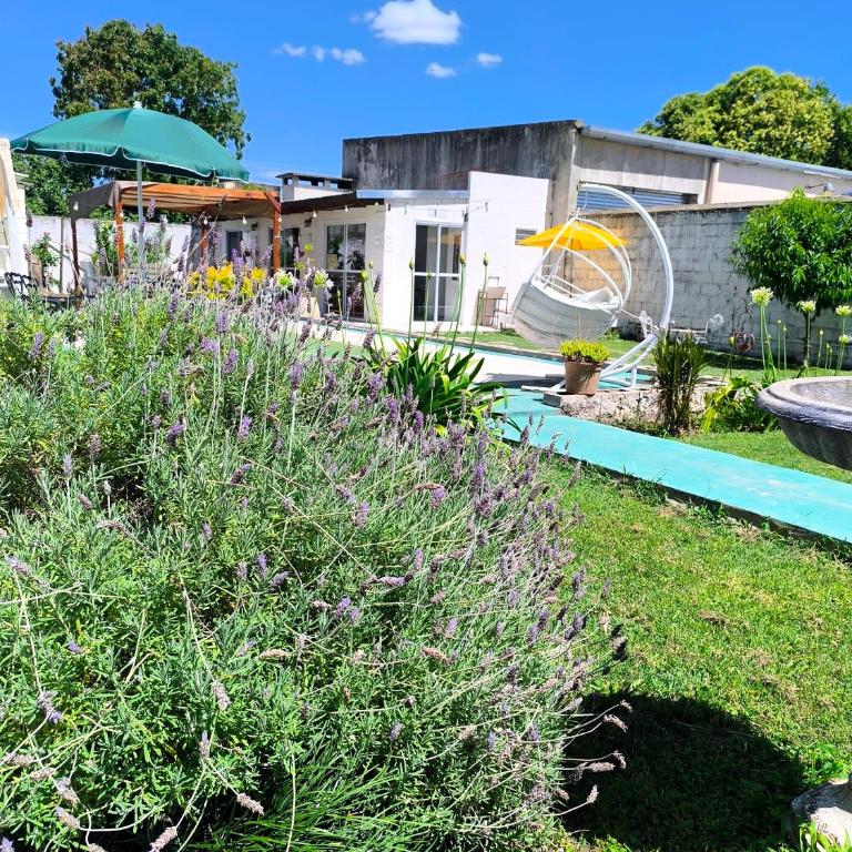 Oasis urbano! Apartamento Geminis complejo - Apartamento de 1 dormitorio - 32