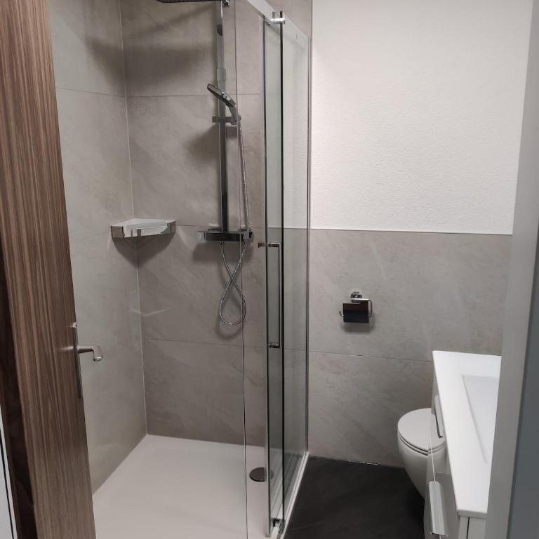 Big studio, just renovated, great views, with free parking - Apartamento de 1 dormitorio - 10