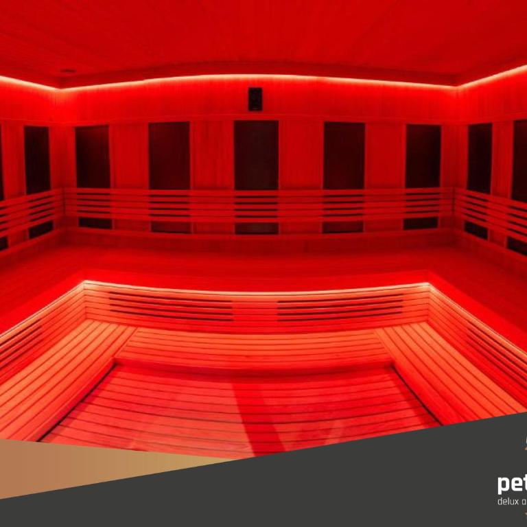 Apartman PETICA KOP A8 Kopaonik - King Studio with Sofa Bed - 28