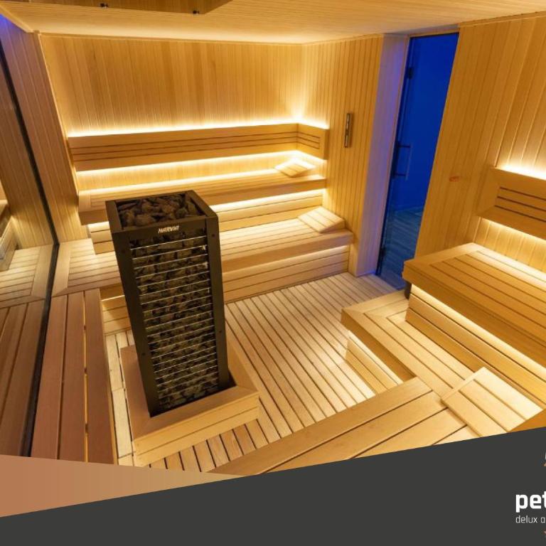 Apartman PETICA KOP A8 Kopaonik - King Studio with Sofa Bed - 27