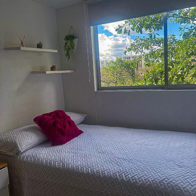 Ubicación privilegiada, lujo y confort en Armenia - Apartamento de 3 dormitorios - 56