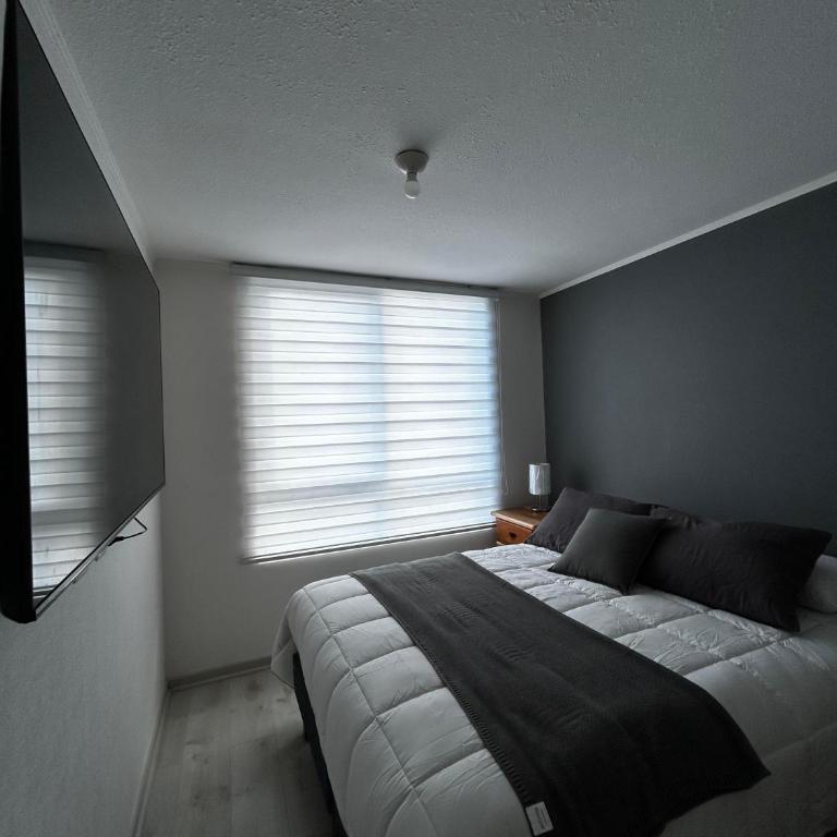 Villarrica Departamento Equipado 2D 1B - Apartamento de 2 dormitorios - 5