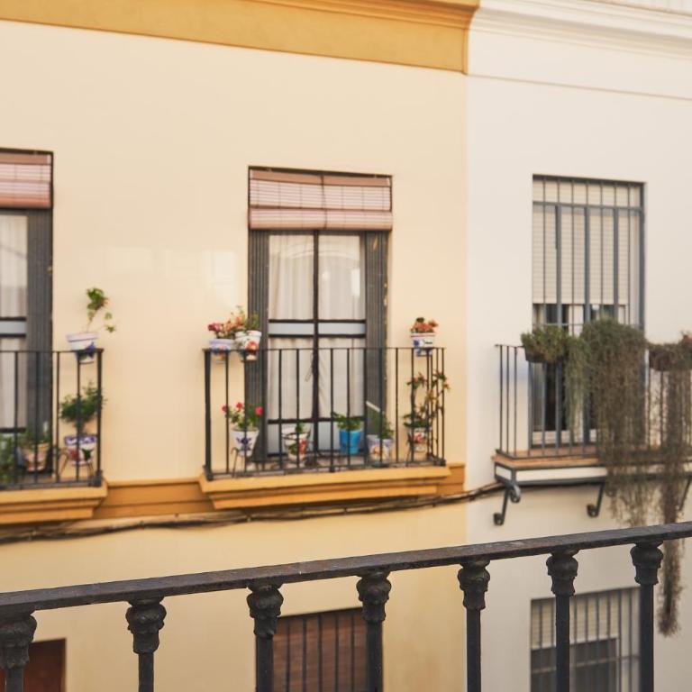 Alameda. Jesus del Gran Poder - Apartamento Superior de 2 dormitorios - 24
