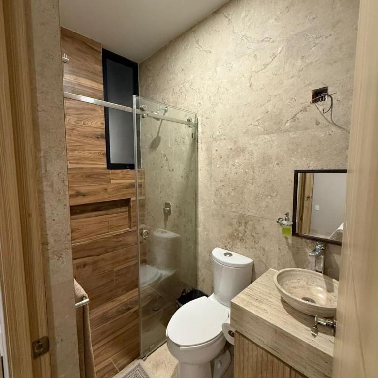 Departamentos paseo imperial san Miguel de Allende - One-Bedroom Apartment - 4