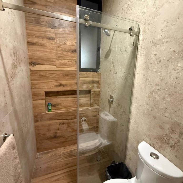 Departamentos paseo imperial san Miguel de Allende - One-Bedroom Apartment - 10